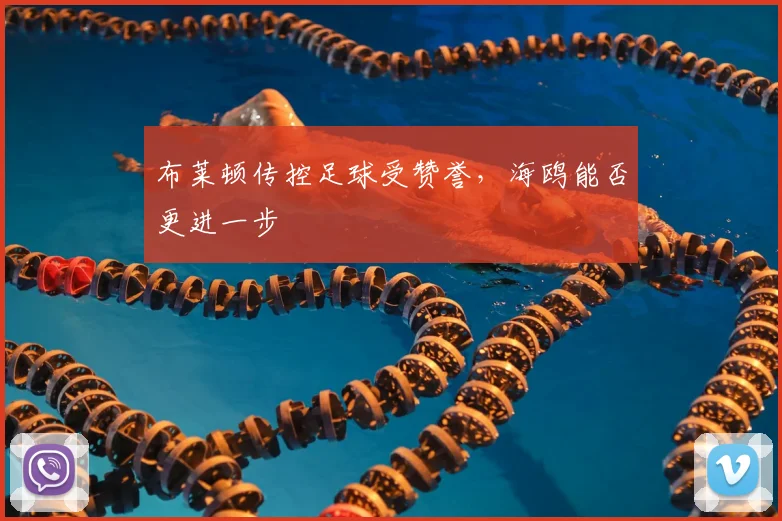 布莱顿传控足球受赞誉，海鸥能否更进一步