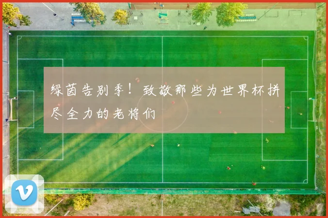 绿茵告别季！致敬那些为世界杯拼尽全力的老将们