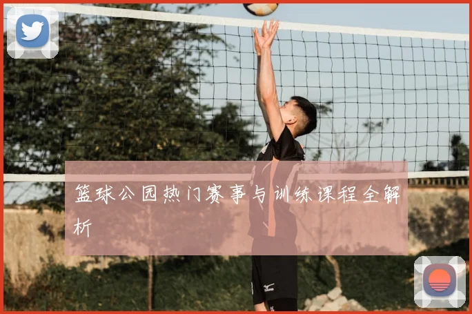 篮球公园热门赛事与训练课程全解析