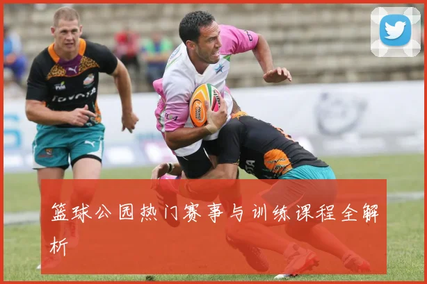 篮球公园热门赛事与训练课程全解析
